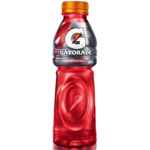 Gatorade Ponche Frutas 500ml