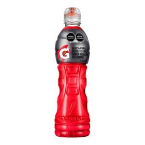 Gatorade Ponche Frutas 600ml