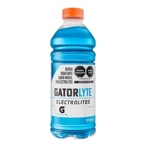 Gatorlyte Moras Gatorade 20oz