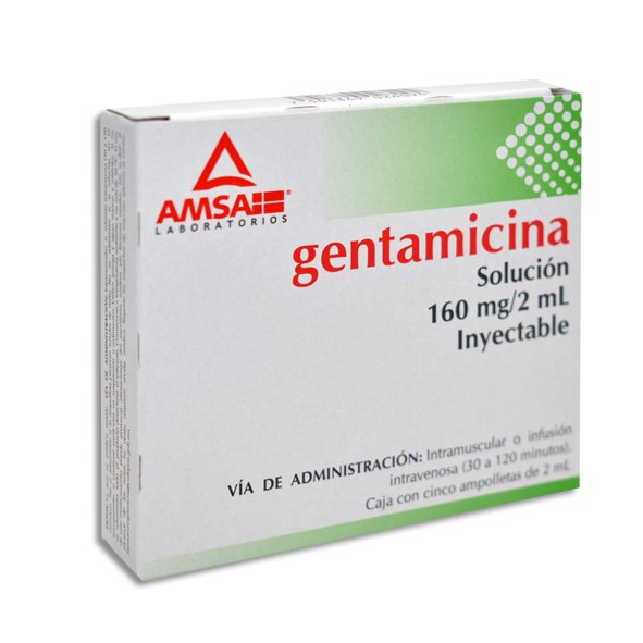 Gentamicina Solución Inyectable 160mg 2ml 5 Ampolletas 2ml Amsa Laboratorios Gentamicina Solución Inyectable 160mg / 2ml 5 Ampolletas 2ml Amsa Laboratorios