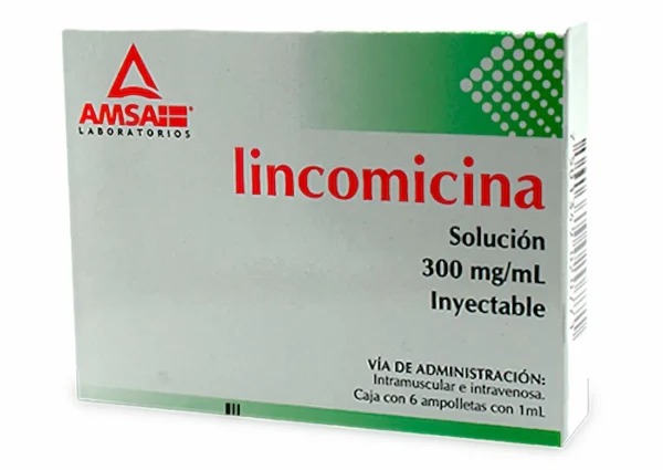 Lincomicina 300mg/ml Solución Inyectable 6 Ampolletas Amsa Laboratorios
